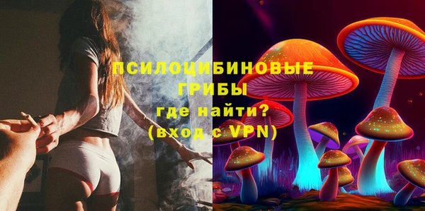 дмт Осинники
