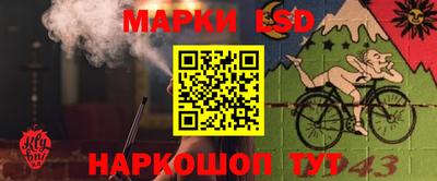 мяу мяу мука Краснознаменск