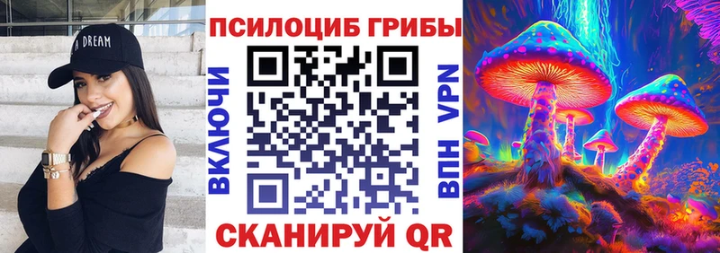дарнет шоп  Керчь  Псилоцибиновые грибы ЛСД 