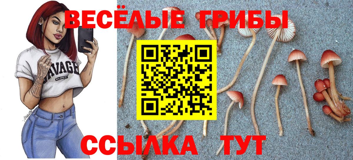 Псилоцибиновые грибы мицелий  Вход с VPN  Керчь 