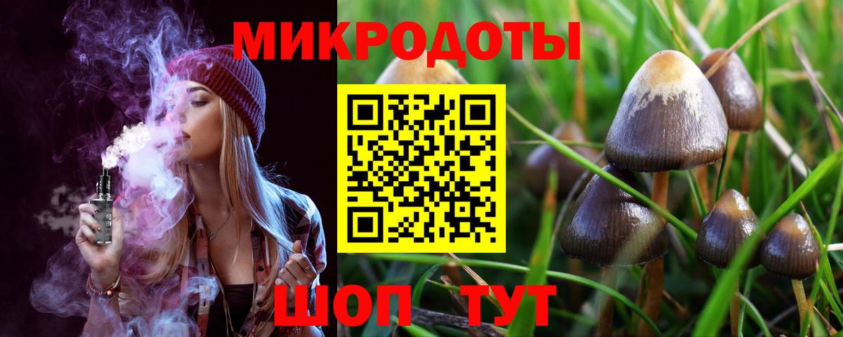 Галлюциногенные грибы Psilocybe Керчь
